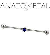 Anatometal Titanium double threaded end princess cut