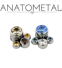 Anatometal Titanium captive bezel small paw cluster