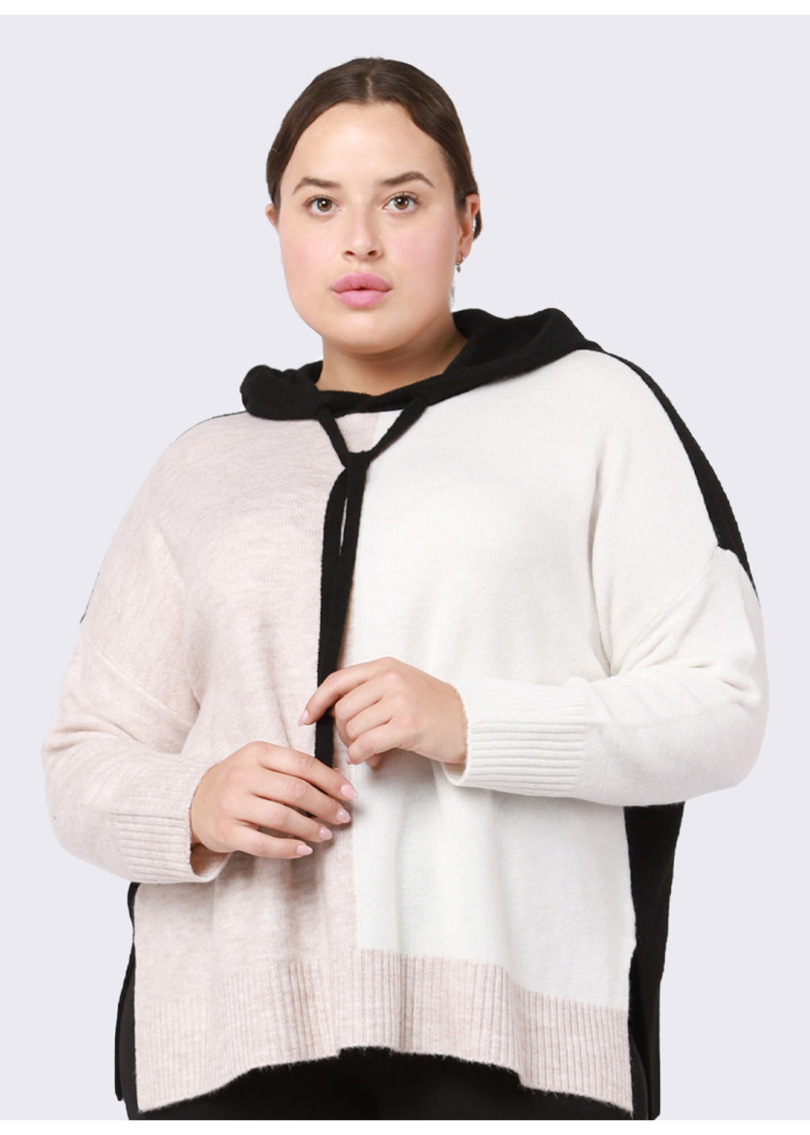 Dex Plus Curvy Colourblock Hooded Sweater