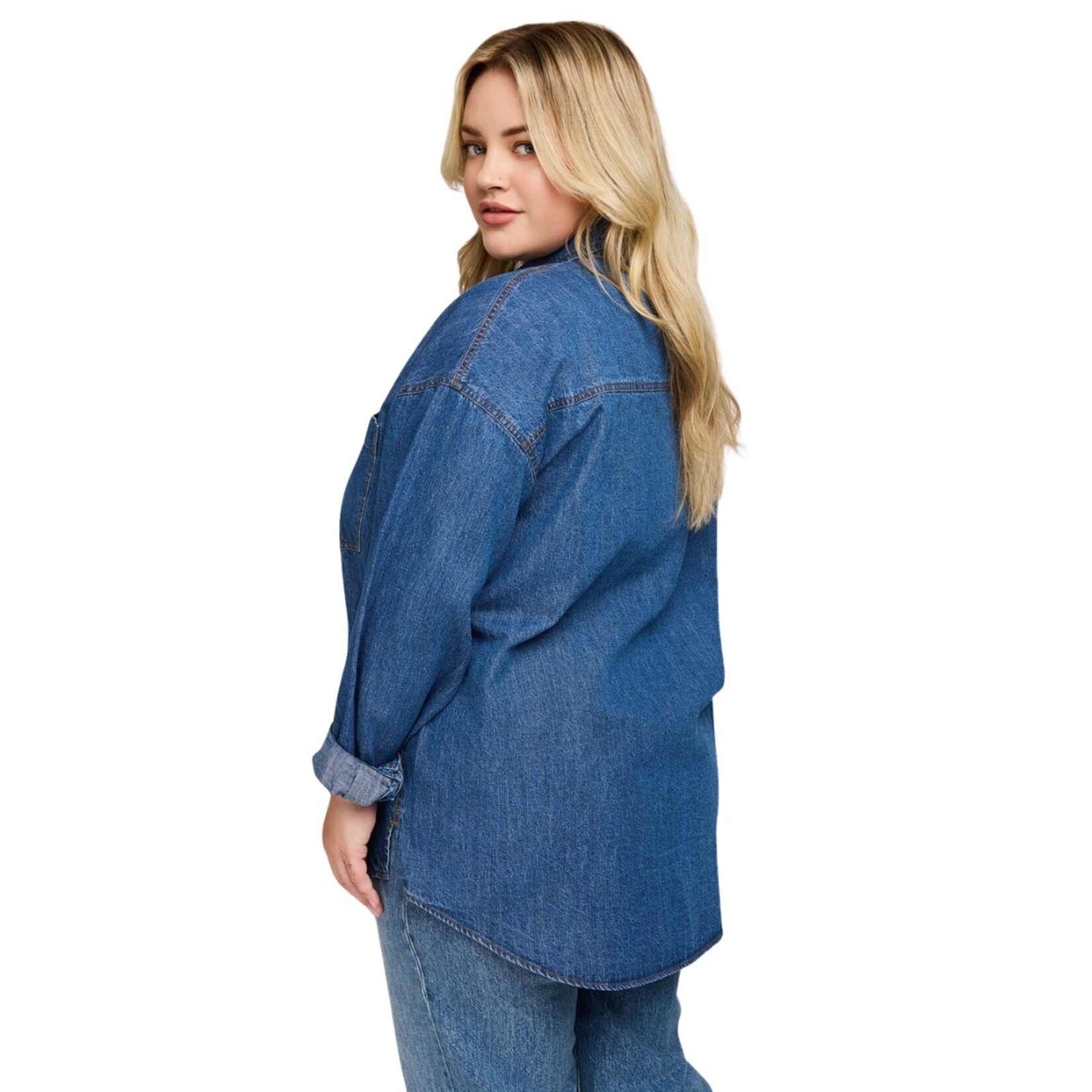 Gentle Fawn Whitney Denim Button Up