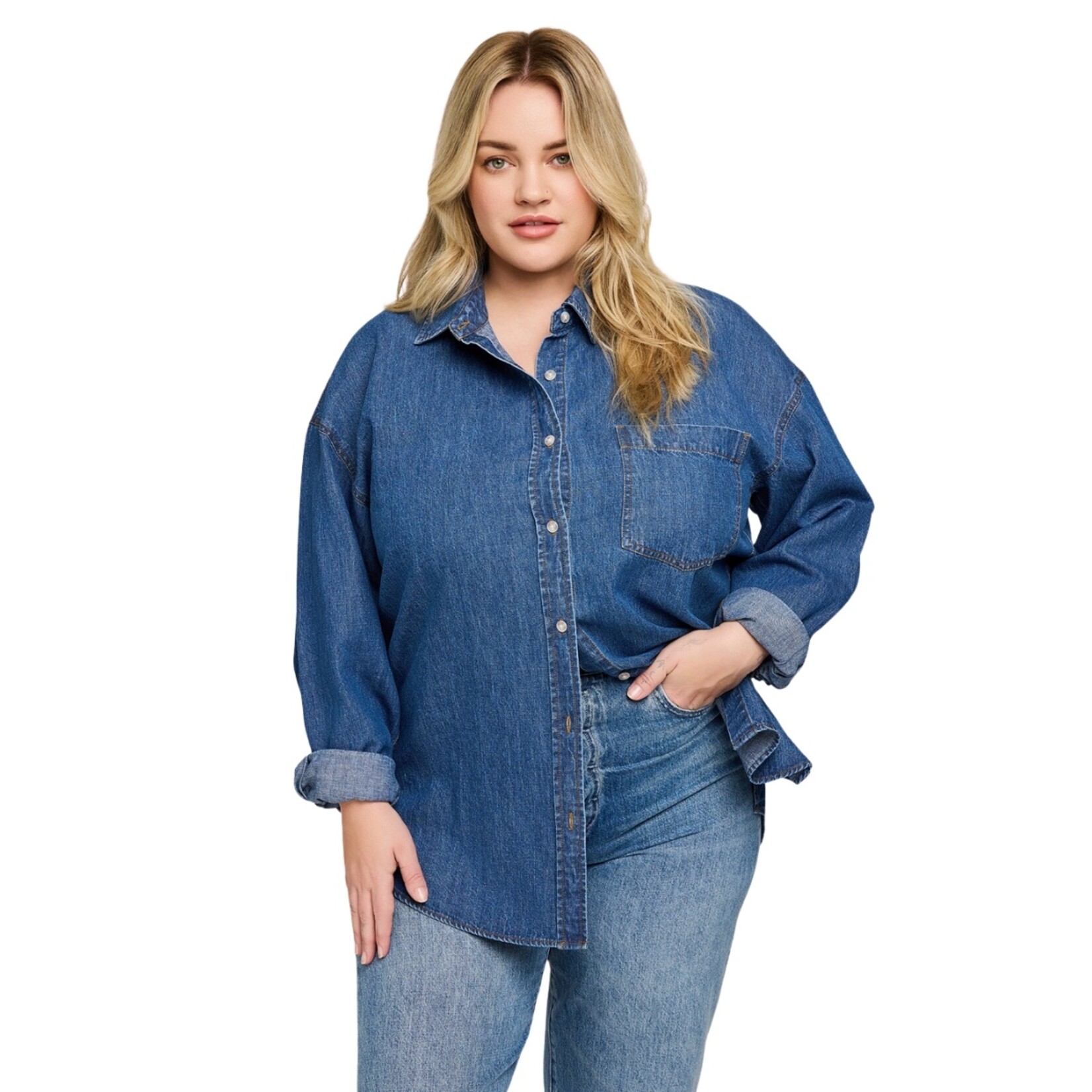 Gentle Fawn Whitney Denim Button Up