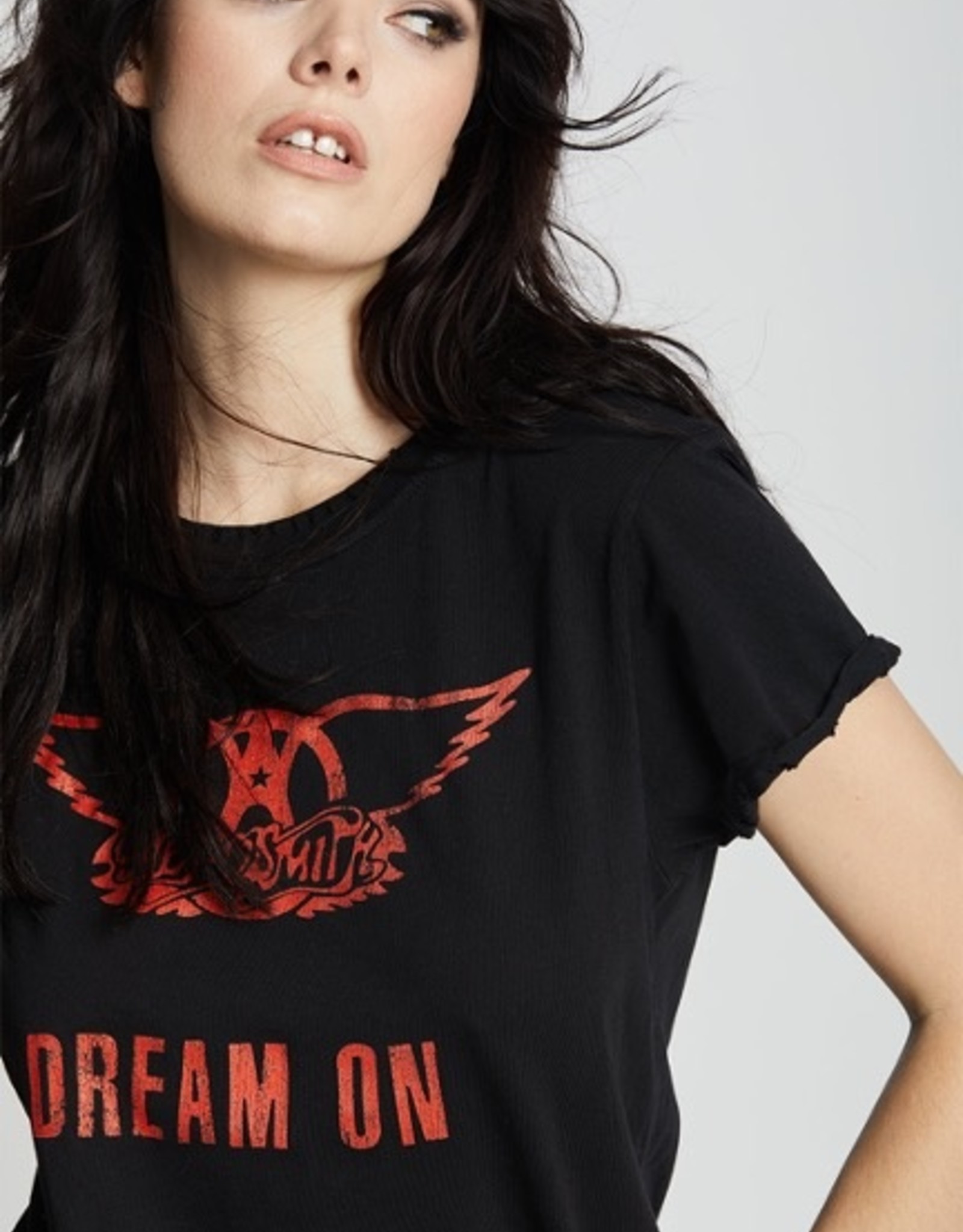 Recycled Karma Aerosmith Dream On T-Shirt