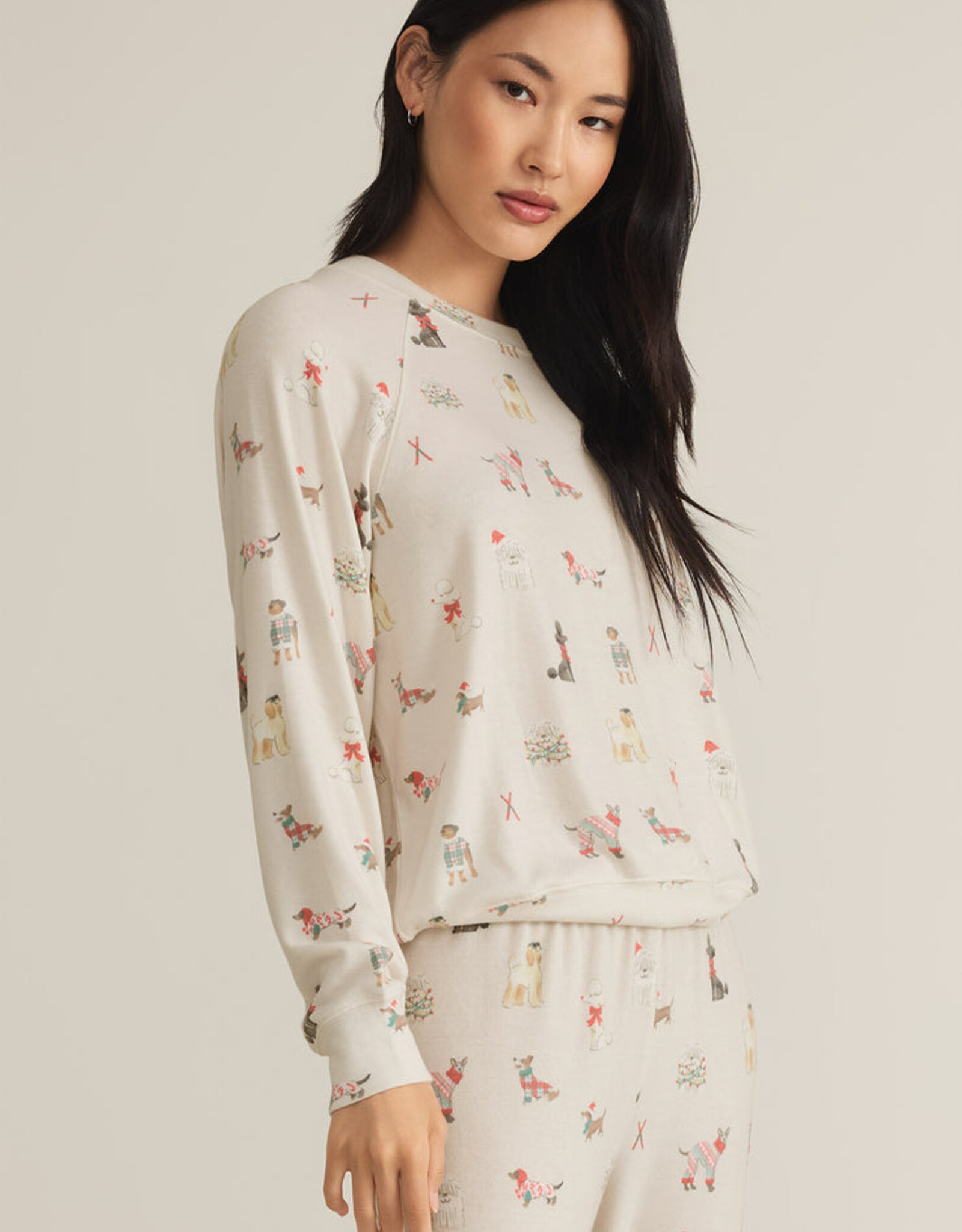 Z Supply Best Friend Raglan top