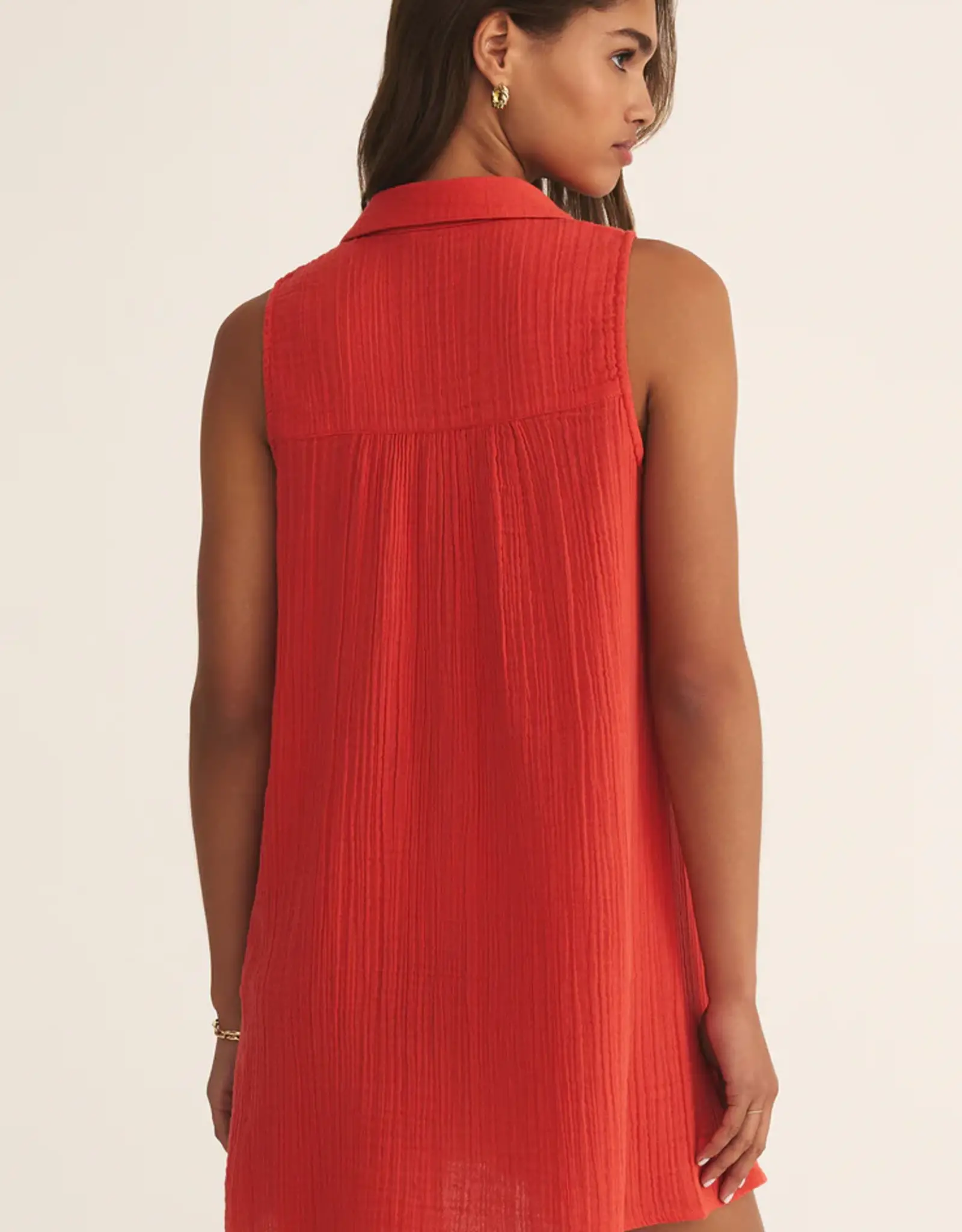 Z Supply New Light Mini Dress