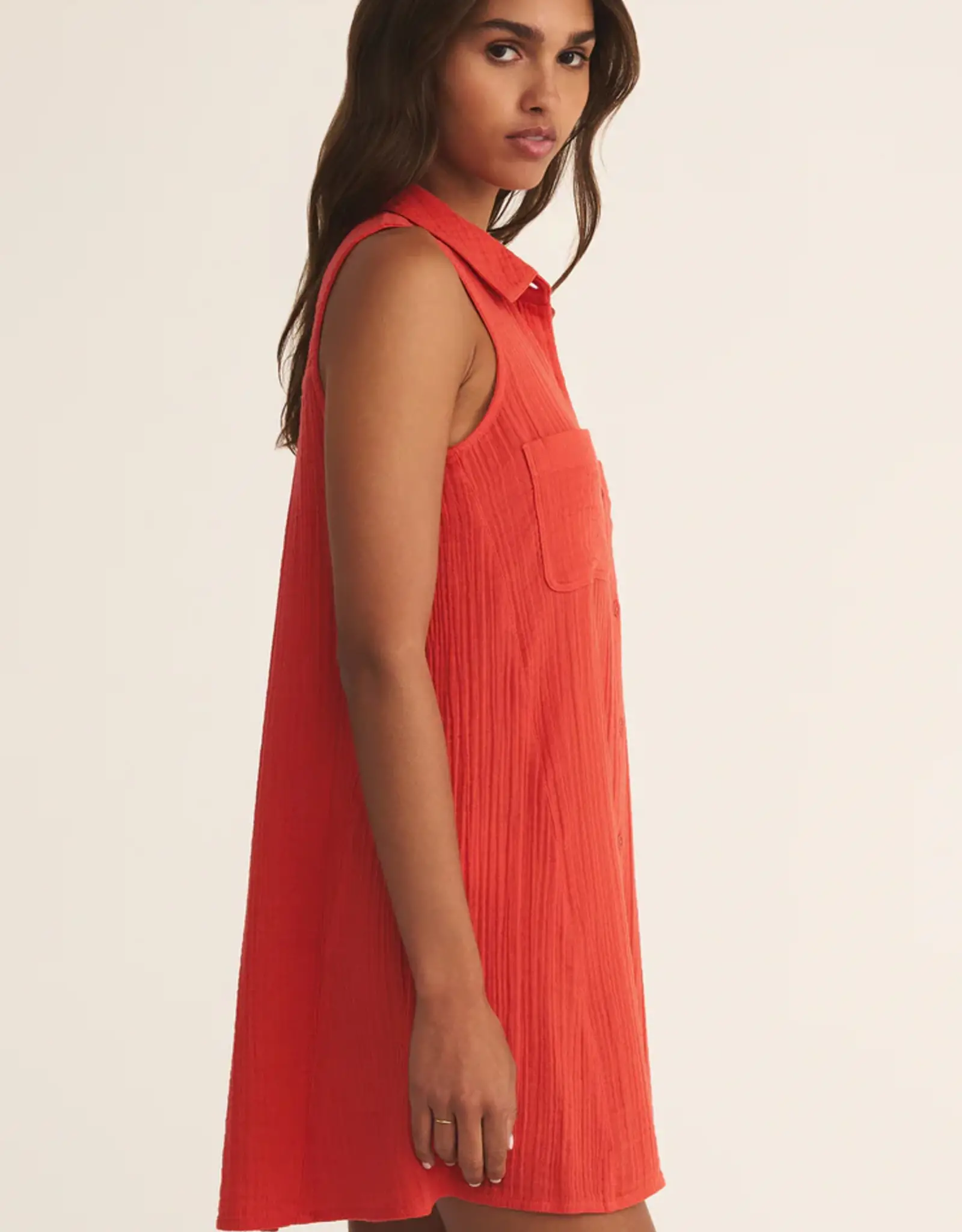 Z Supply New Light Mini Dress
