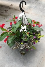 Seasonal Hanging Basket: Sun Pre-Medi Combo 12" Fiber Pot