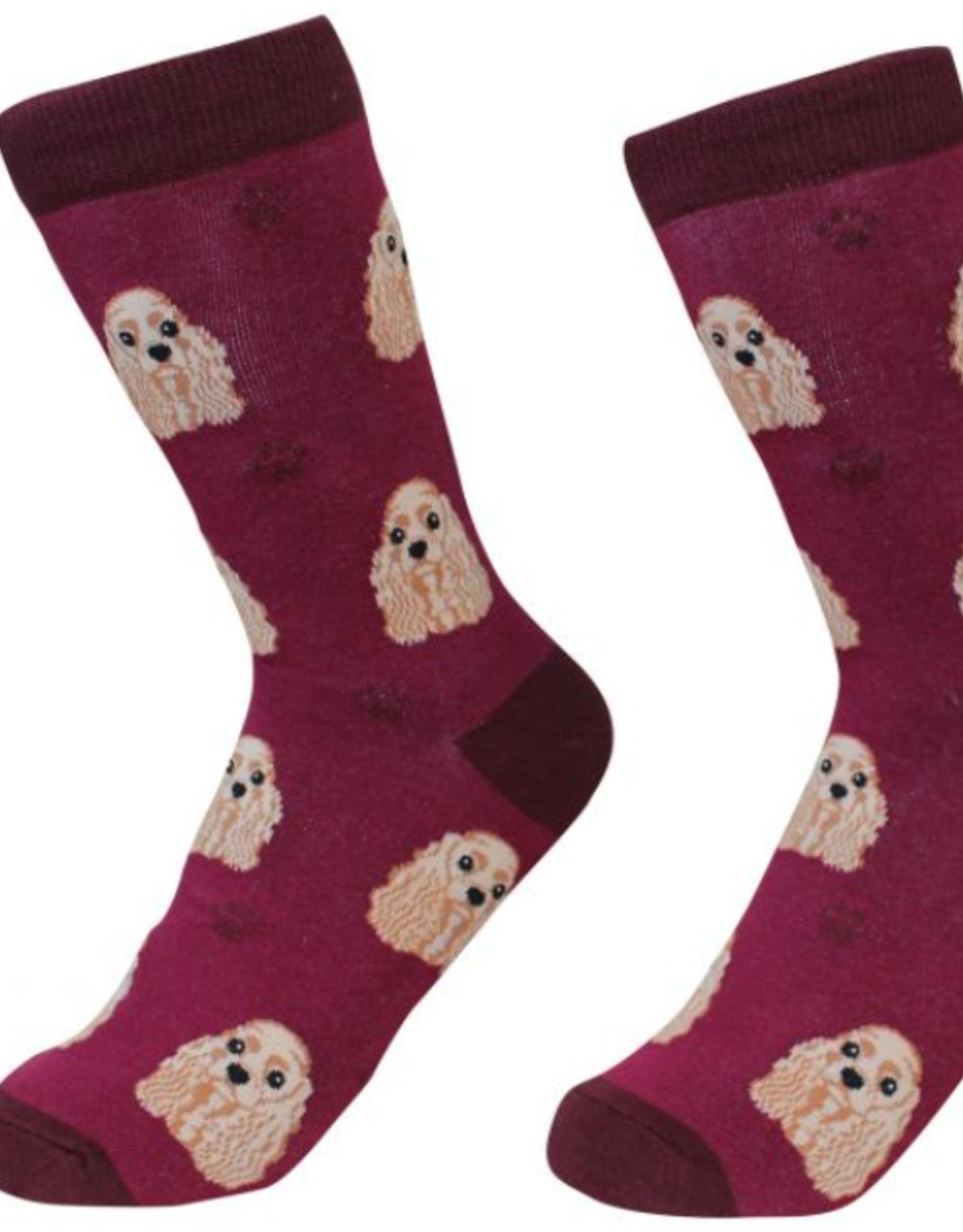 Apparel E & S Pets - Cocker Spaniel Socks