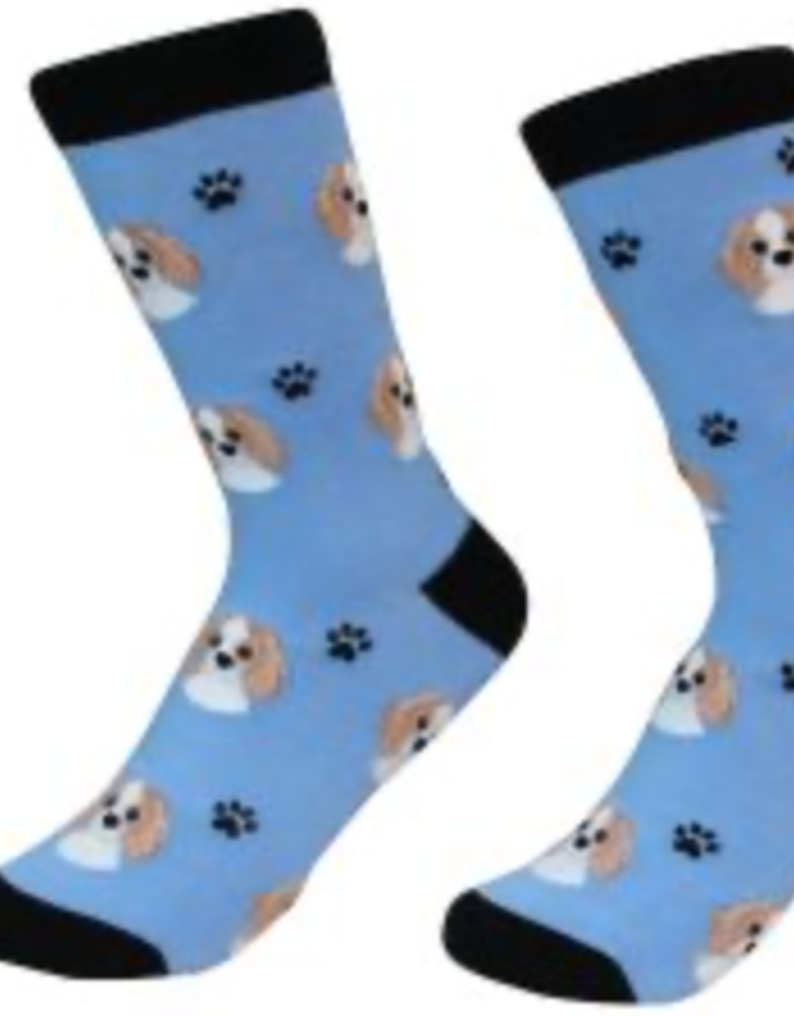 Apparel E & S Pets: King Charles Cavalier Socks