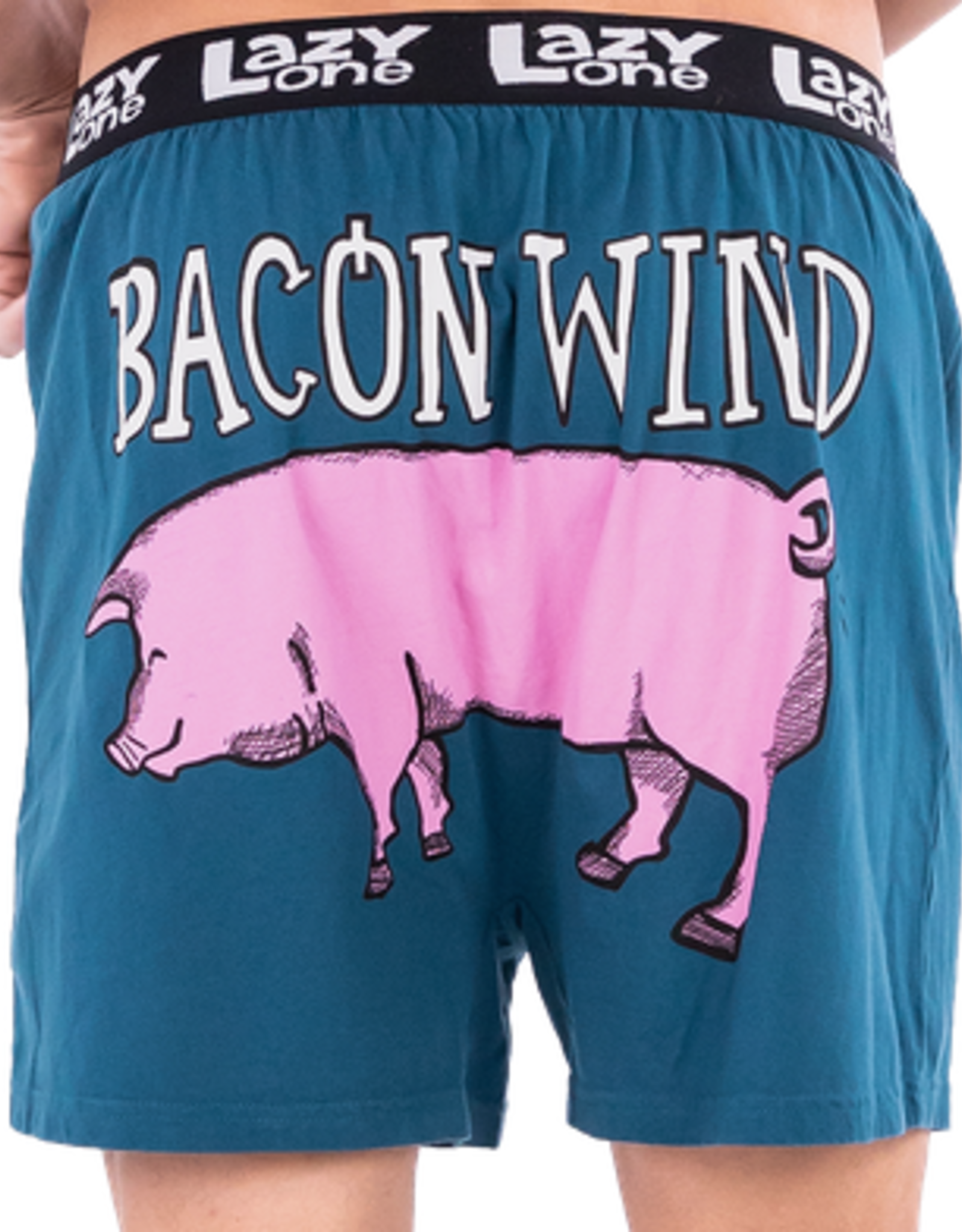 Mens Lazy One - Bacon Wind Boxer Briefs  (S)