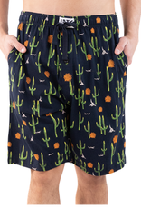 Lazy One Men's PJ Shorts: Cactus (M)