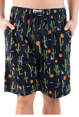 Mens Lazy One Men's PJ Shorts: Cactus (M)
