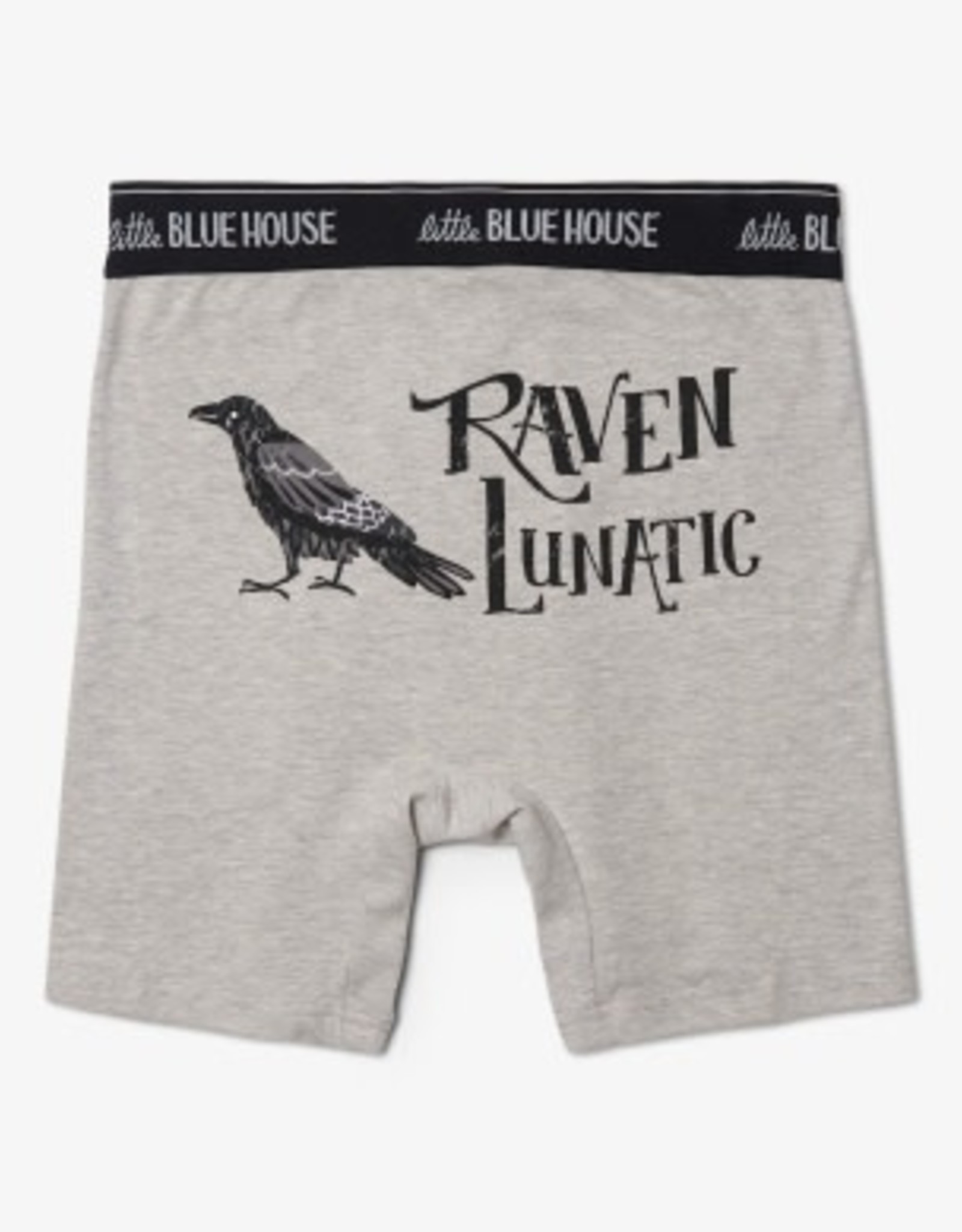 Little Blue House Boxer Briefs - Raven Lunatic (L)