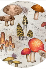 Kitchen Andreas - Mystical Mushroom Jar Opener