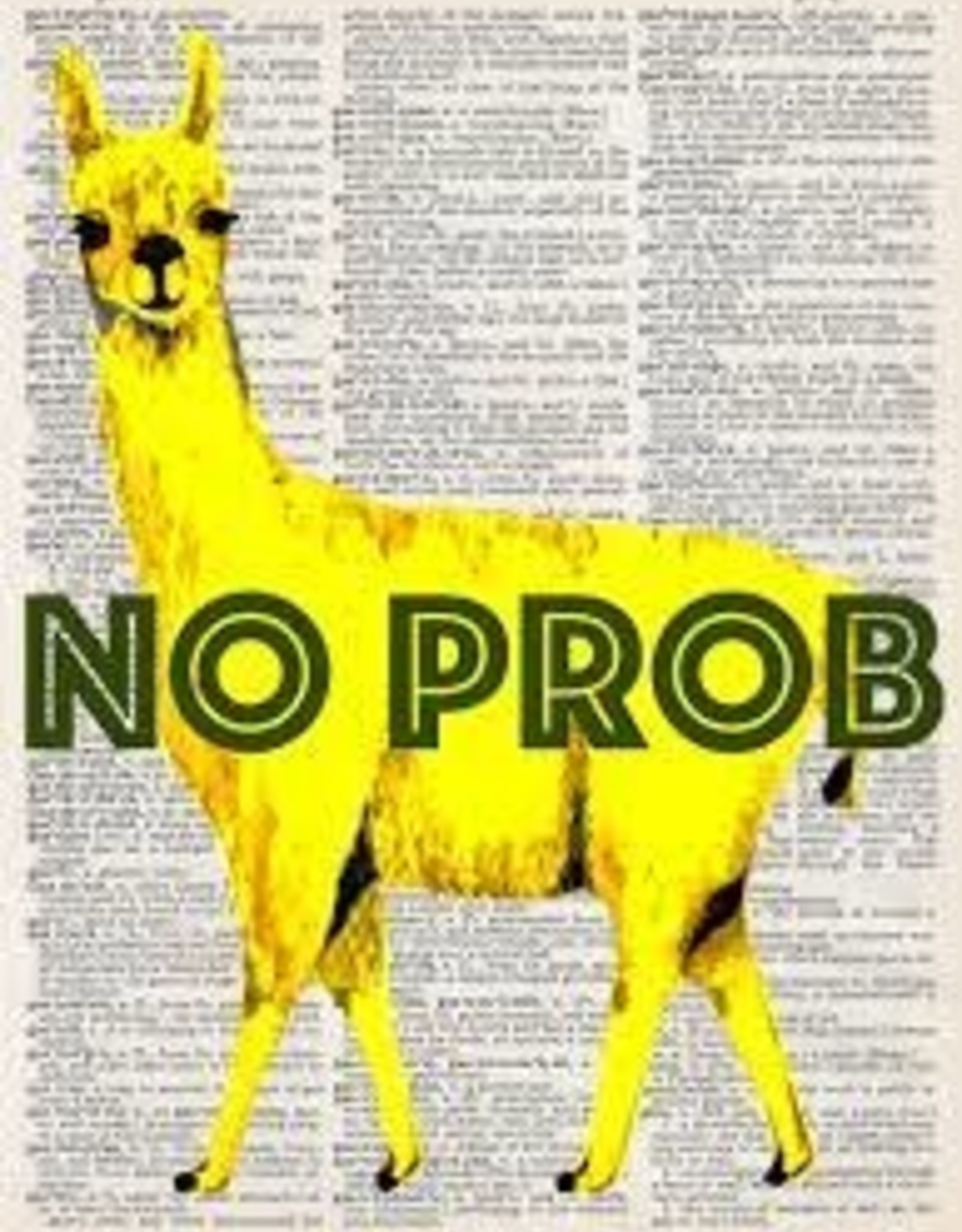 Apparel Artnwordz - No ProbLLama Socks