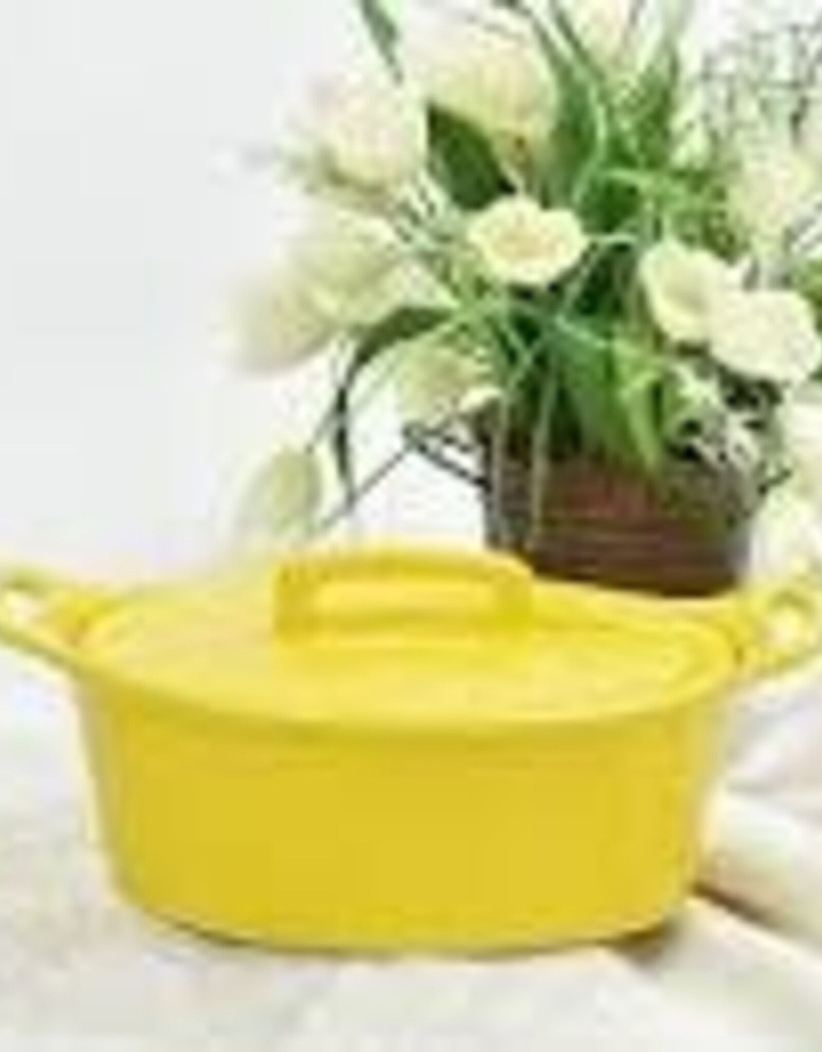 Kitchen OmniWare - Oval  Baker w/Lid Yellow (S)