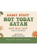 Sassy Stuff  - Walton Wood Farm - Not Today Satan