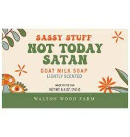 Sassy Stuff  - Walton Wood Farm - Not Today Satan