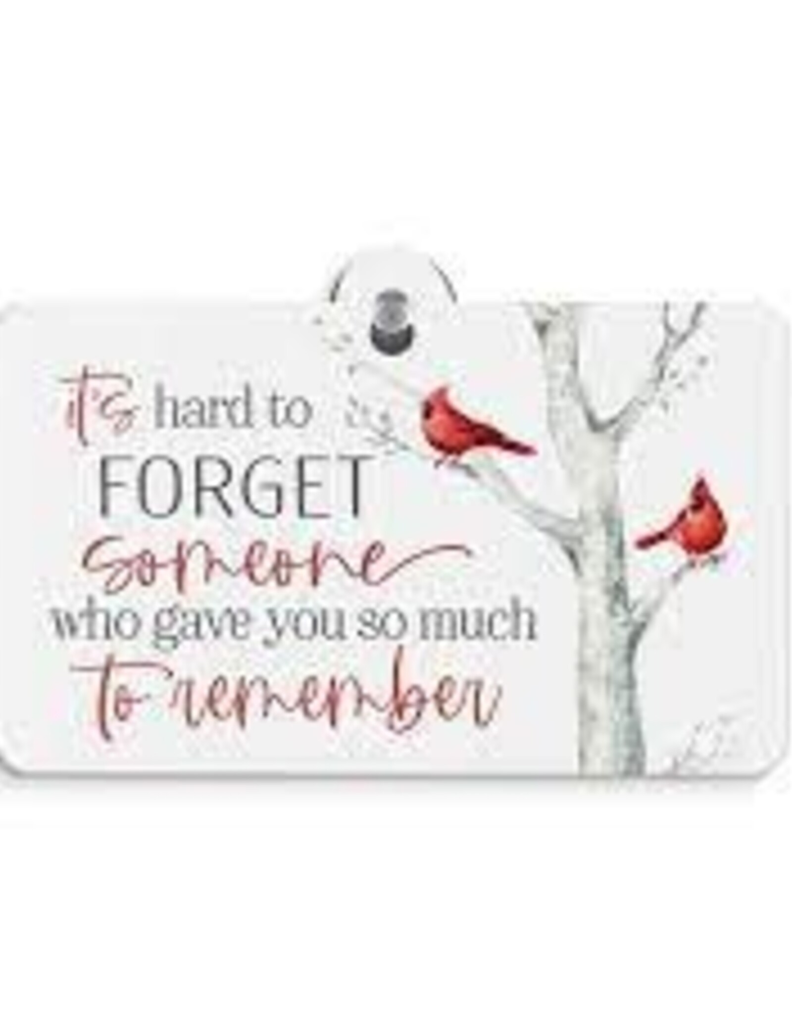 Home Goods P Graham  - Suction Sign It's Hard to Forget