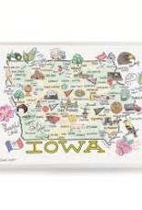 Kitchen Wet-It Swedish Dishcloth - Fishkiss  Iowa