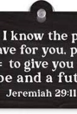 Home Goods P Graham  - Suction Sign For I know the plans