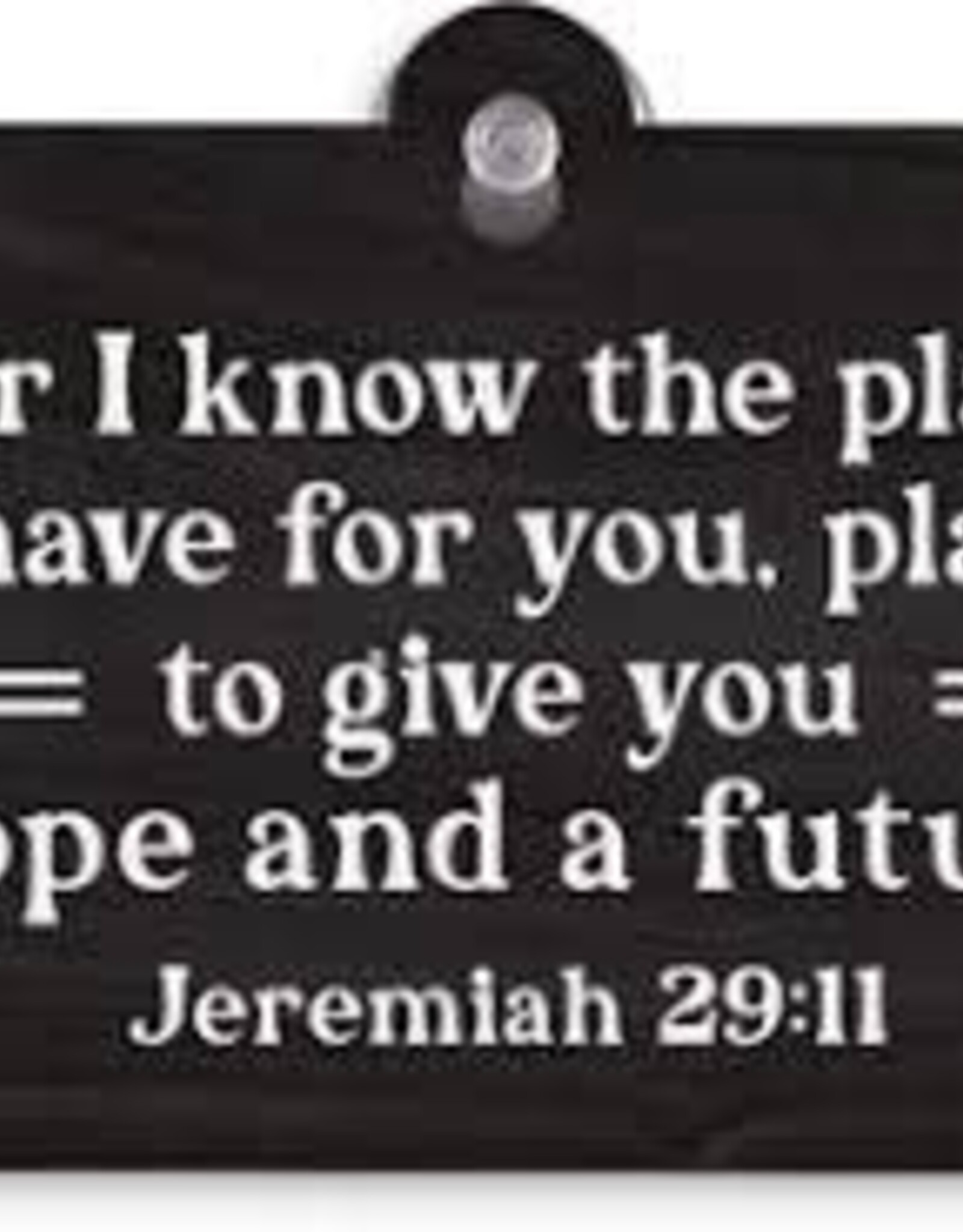 Home Goods P Graham  - Suction Sign For I know the plans