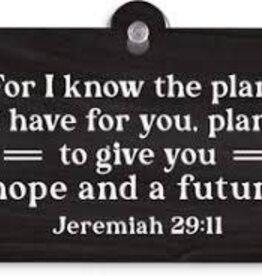 Home Goods P Graham  - Suction Sign For I know the plans