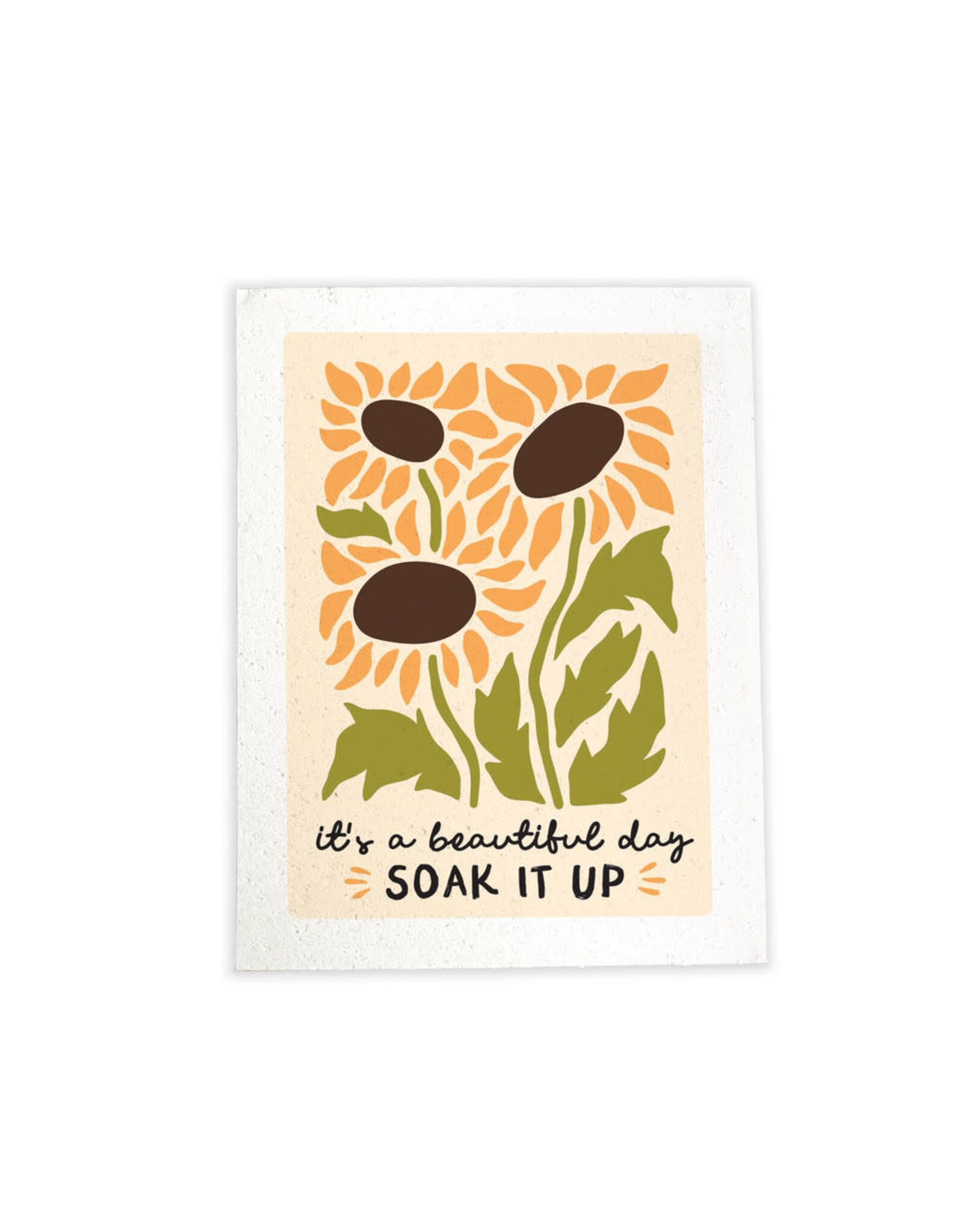 Kitchen P Graham  - Compressed Sponge Beautiful Day 2 pk