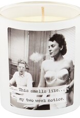 Home Goods Primitives by Kathy - Trash Talk This Smells Like My Two Weeks Candle