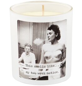 Home Goods Primitives by Kathy - Trash Talk This Smells Like My Two Weeks Candle