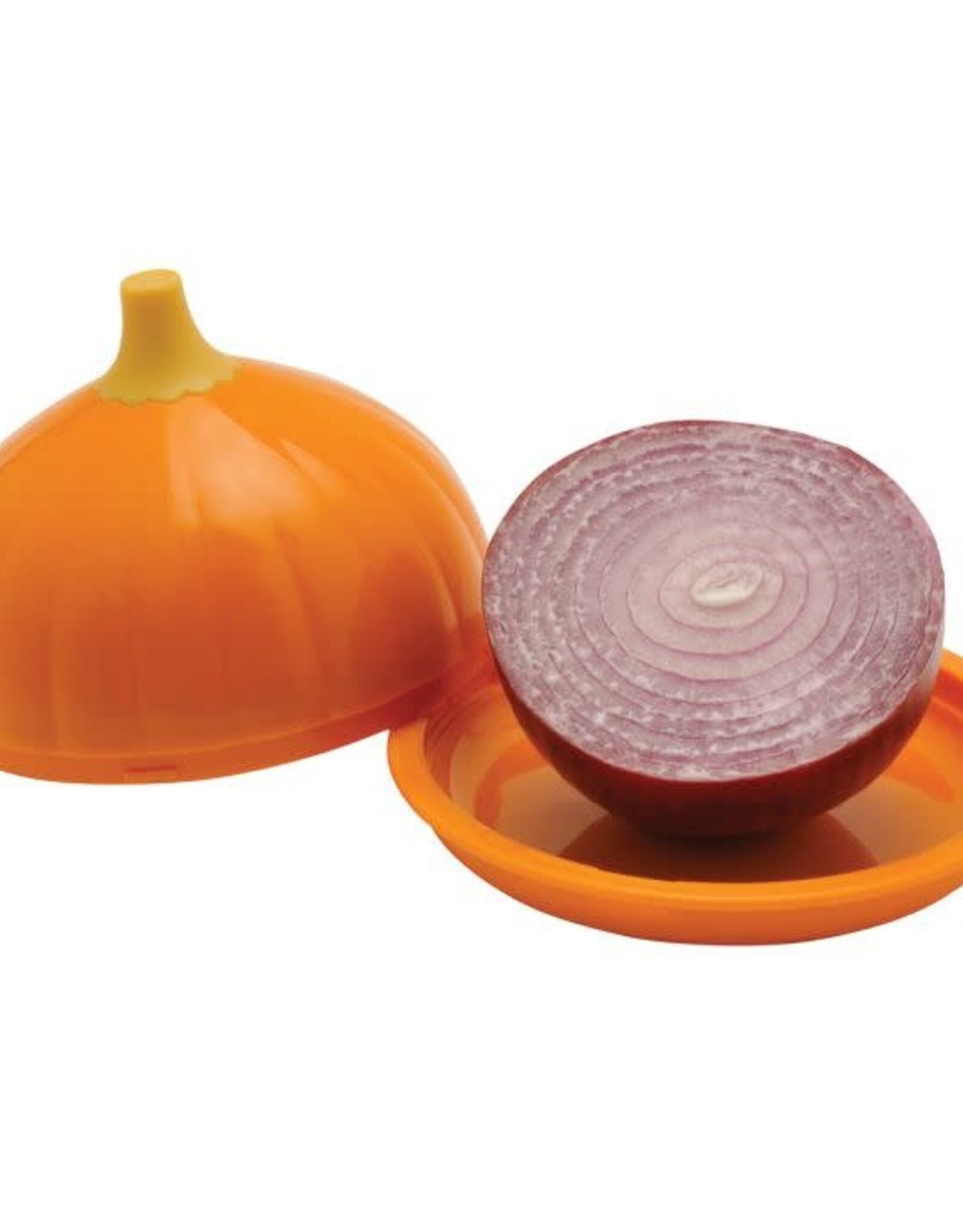 Kitchen Harold Import - Fresh Stretch Onion Pod