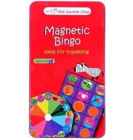 Magnetic Bingo