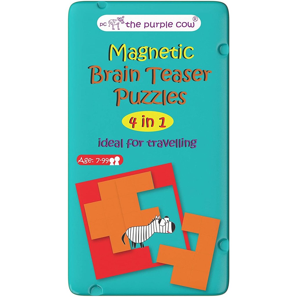 Magnetic Brain Teaser Puzzles