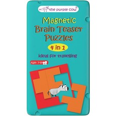 Magnetic Brain Teaser Puzzles