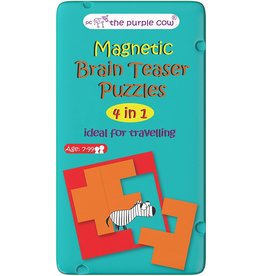 Magnetic Brain Teaser Puzzles