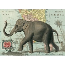 CV1 Elephant Poster & Wrap