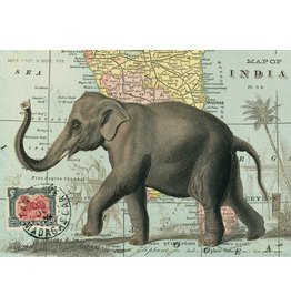 WHCV- Elephant Poster & Wrap