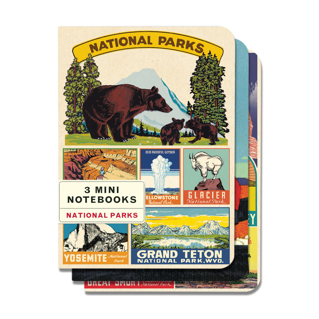 Vintage National Parks 3 Mini Notebooks