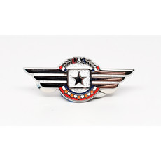 WHSKBNS- Silver Wings with Star Pin