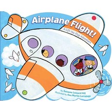 Airplane Flight!