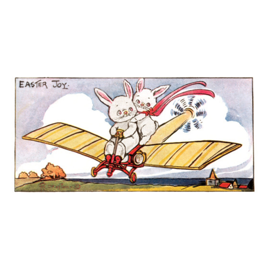 Rabbits on an Airplane Greeting Card