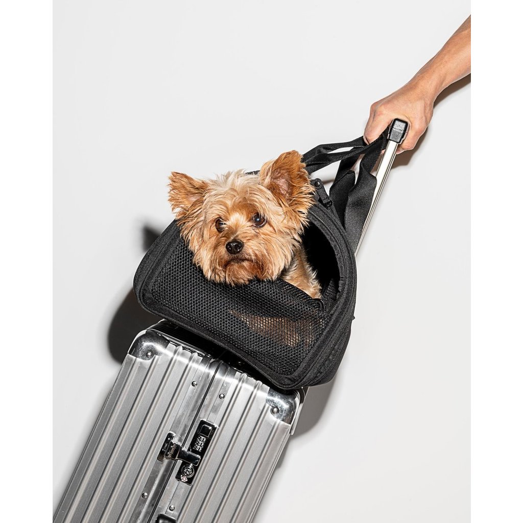 Pet Travel Carrier Black Planewear