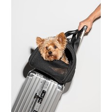 1WO- Travel Pet Carrier