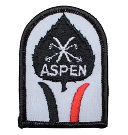 Vintage Aspen Patch