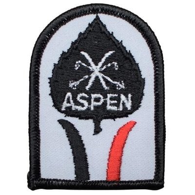 Vintage Aspen Patch