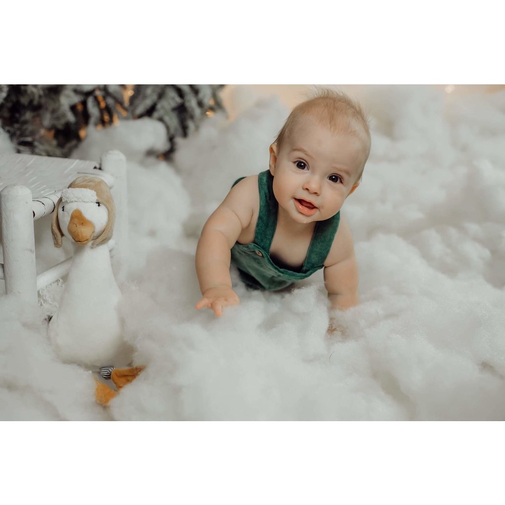WHBBB- Avery the Aviator Snow Goose