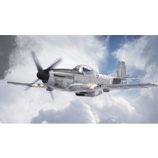P-51K Mustang Rare  Limited Edition