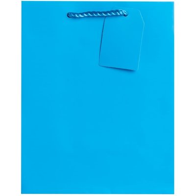 WHJR- Planewear Turquoise Medium Gift Tote w/tissue