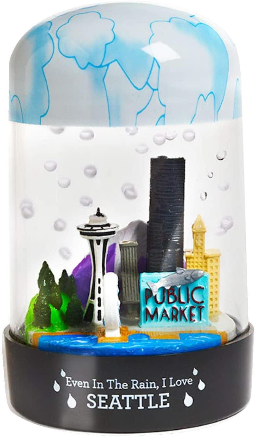 Seattle Skyline Water Bottle - Planewear