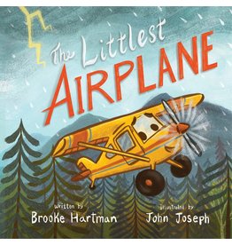 The Littlest Airplane