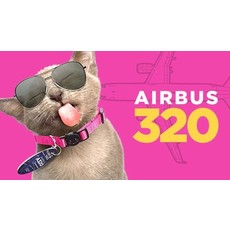 Plane Tags Pet Tag Airbus 320 US Air - Blue